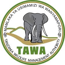 Tanzania wildness  Management Area